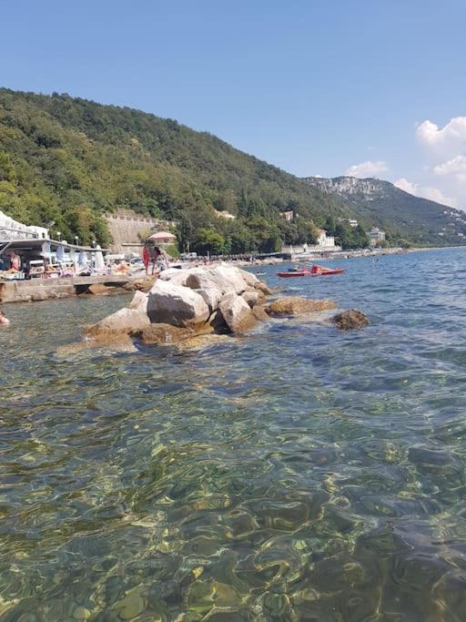 Still Und Stilvoll Im Stadtzentrum Daire Trieste Dış mekan fotoğraf